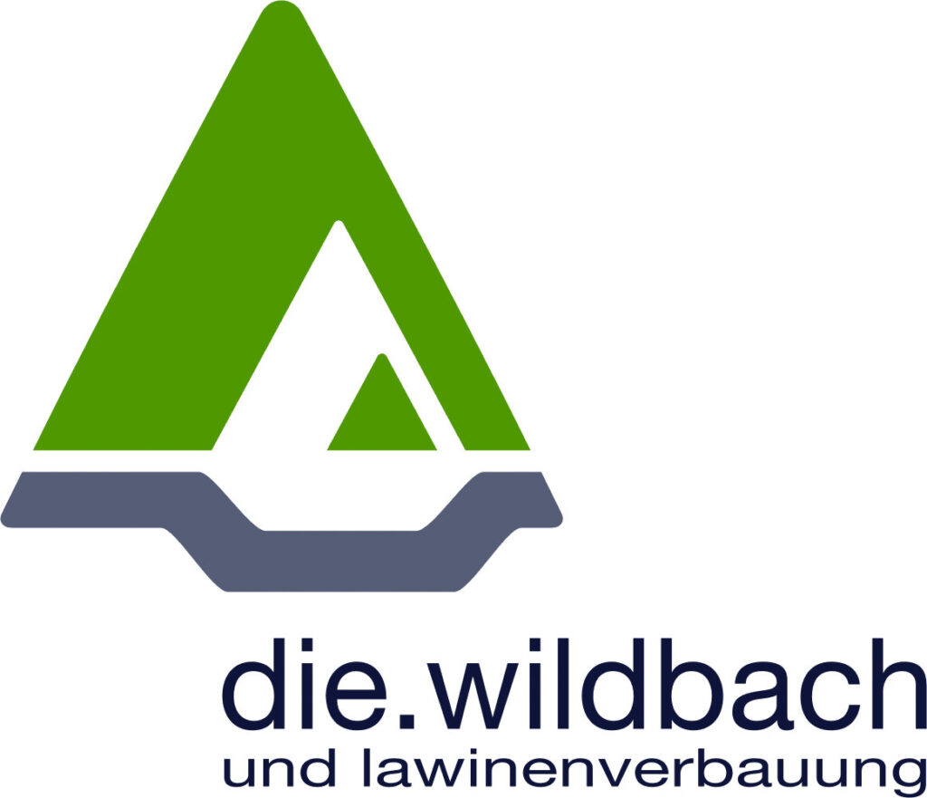 Die Wildbach- und Lawinenverbauung