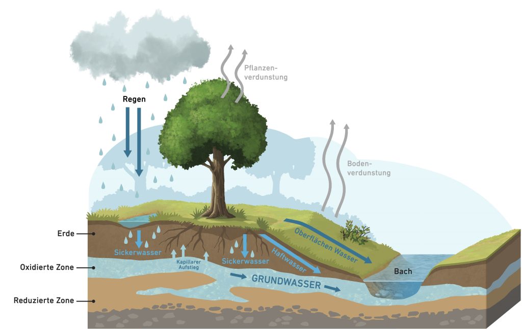 Wie entsteht Hochwasser