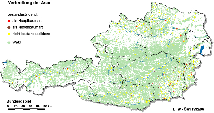 Verbreitung der Aspe in Österreich