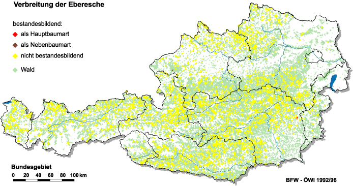 Verbreitung der Eberesche in Österreich