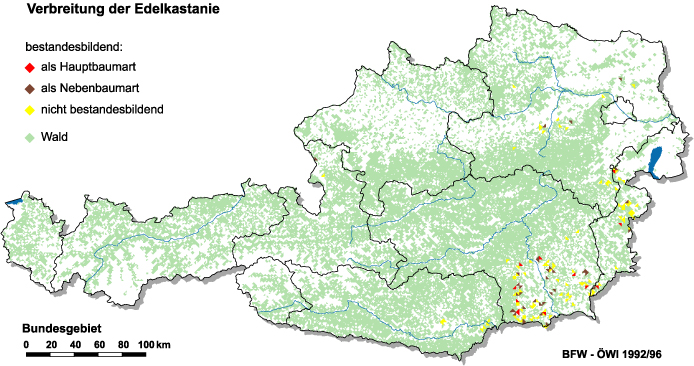 Verbreitung der Edelkastanie in Österreich