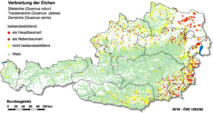 Verbreitung der Eiche in Österreich
