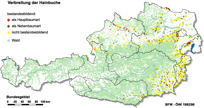Verbreitung der Hainbuche in Österreich