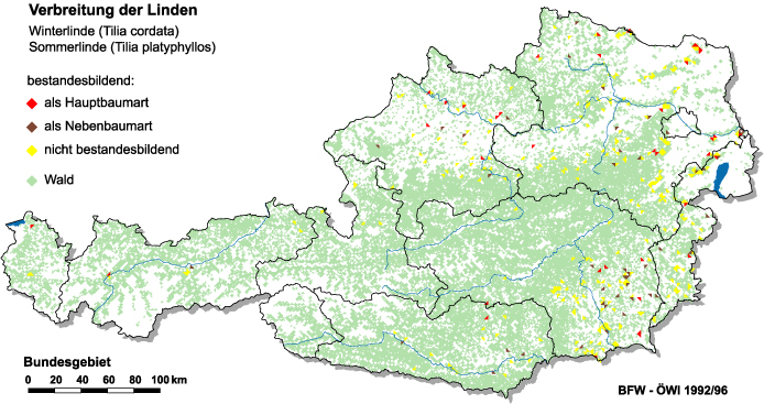 Verbreitung der Linden in Österreich
