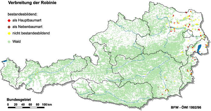 Verbreitung der Robinie in Österreich