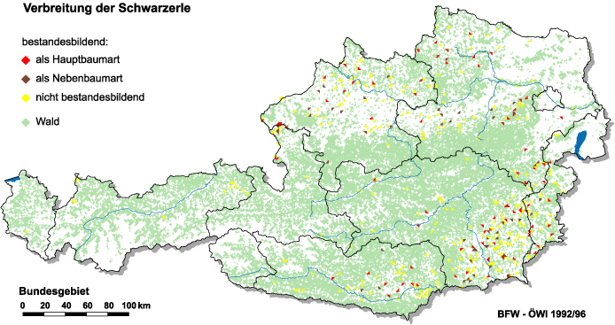 Verbreitung der Schwarzerle in Österreich