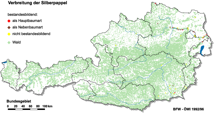 Verbreitung der Silberpappel in Österreich