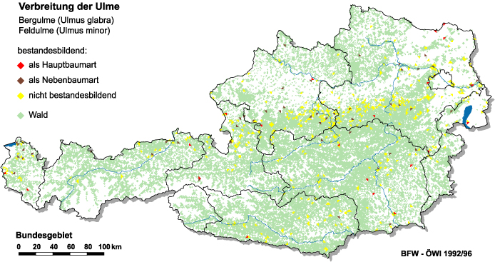 Verbreitung der Ulme in Österreich