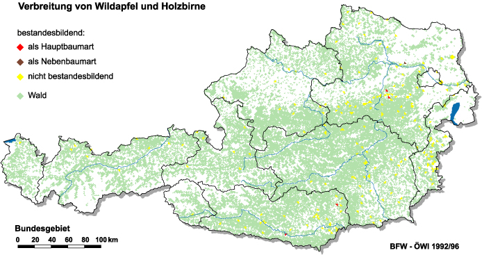 Verbreitung von Wildapfel und Holzbirne in Österreich