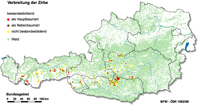 Verbreitung der Zirbe in Österreich